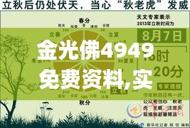 金光佛4949免费资料,实时解答解释定义_2DM6.138