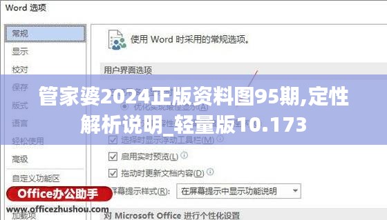 管家婆2024正版资料图95期,定性解析说明_轻量版10.173