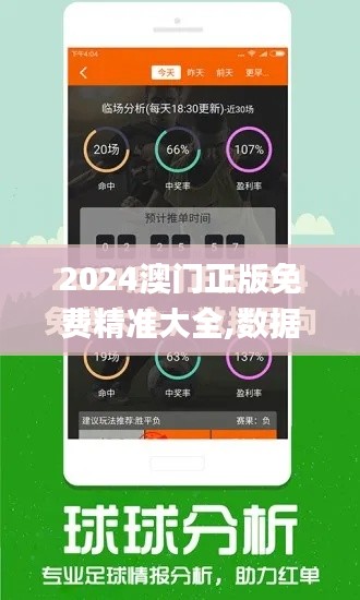 2024澳门正版免费精准大全,数据支持执行方案_MT2.513