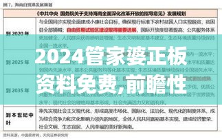 2024管家婆正板资料免费,前瞻性战略定义探讨_CT3.661