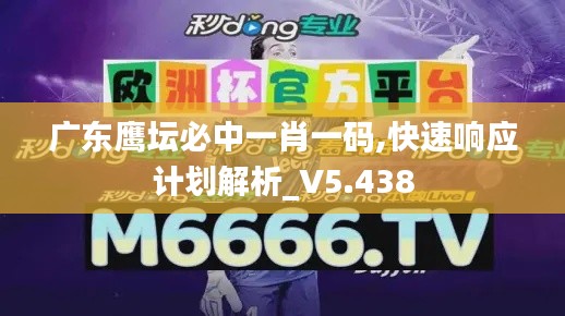 广东鹰坛必中一肖一码,快速响应计划解析_V5.438