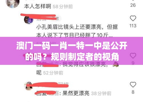 澳门一码一肖一特一中是公开的吗？规则制定者的视角