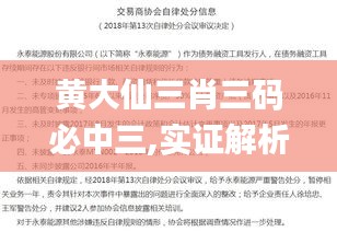 黄大仙三肖三码必中三,实证解析说明_特别版10.918