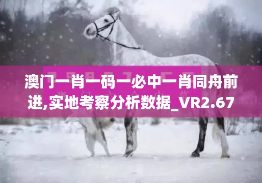 澳门一肖一码一必中一肖同舟前进,实地考察分析数据_VR2.679