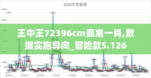 王中王72396cm最准一肖,数据实施导向_冒险款5.126