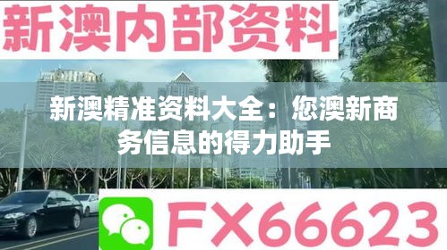 贵人善忘 第2页