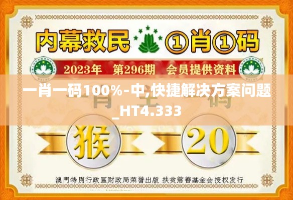 一肖一码100%-中,快捷解决方案问题_HT4.333