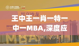 王中王一肖一特一中一MBA,深度应用数据策略_3K2.719