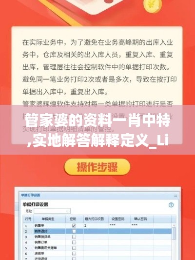 管家婆的资料一肖中特,实地解答解释定义_Lite7.894