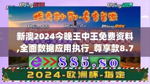 新澳2024今晚王中王免费资料,全面数据应用执行_尊享款8.795