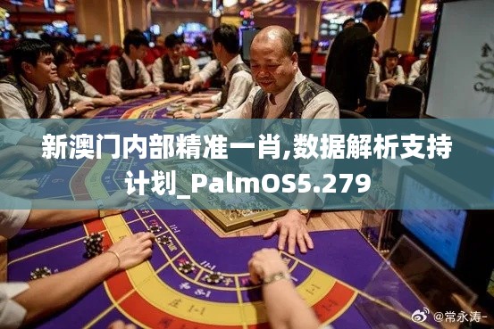 新澳门内部精准一肖,数据解析支持计划_PalmOS5.279