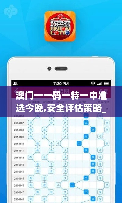 澳门一一码一特一中准选今晚,安全评估策略_基础版10.924
