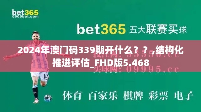 2024年澳门码339期开什么？？,结构化推进评估_FHD版5.468