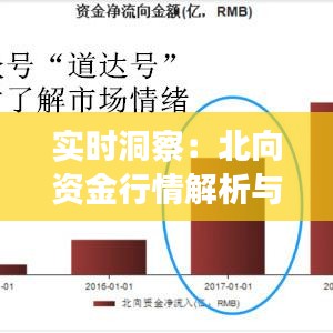 实时洞察：北向资金行情解析与投资策略