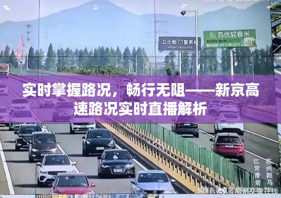 实时掌握路况，畅行无阻——新京高速路况实时直播解析