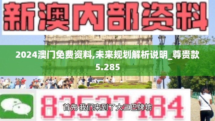 2024澳门免费资料,未来规划解析说明_尊贵款5.285