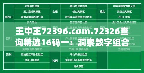 王中王72396.cσm.72326查询精选16码一：洞察数字组合的奥妙