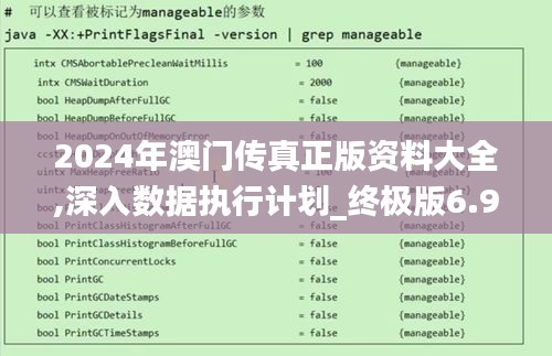 2024年澳门传真正版资料大全,深入数据执行计划_终极版6.956