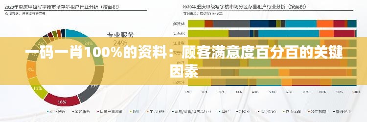 一码一肖100%的资料：顾客满意度百分百的关键因素