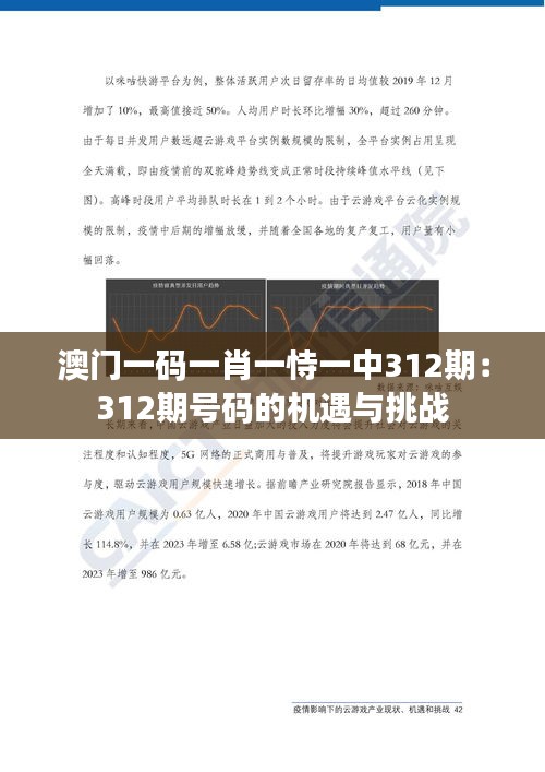 澳门一码一肖一恃一中312期：312期号码的机遇与挑战