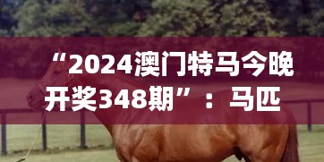 “2024澳门特马今晚开奖348期”：马匹背后的故事