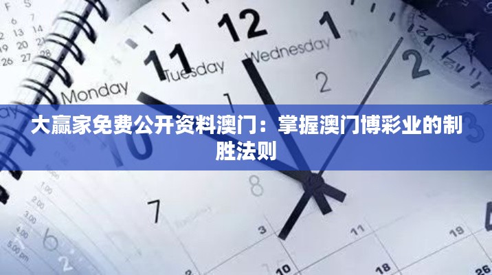 大赢家免费公开资料澳门：掌握澳门博彩业的制胜法则