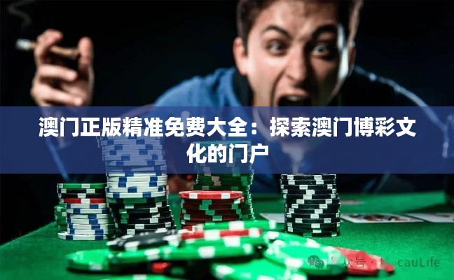 澳门正版精准免费大全：探索澳门博彩文化的门户