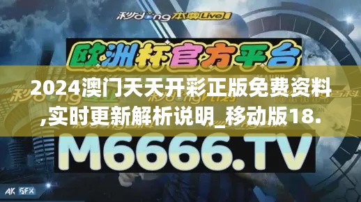 2024澳门天天开彩正版免费资料,实时更新解析说明_移动版18.461