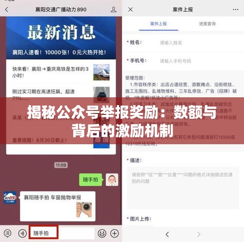 揭秘公众号举报奖励：数额与背后的激励机制