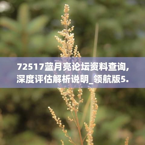 72517蓝月亮论坛资料查询,深度评估解析说明_领航版5.727