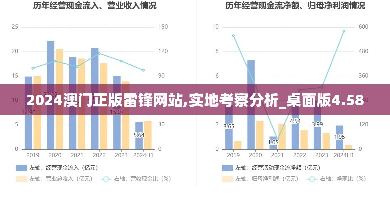 2024澳门正版雷锋网站,实地考察分析_桌面版4.580