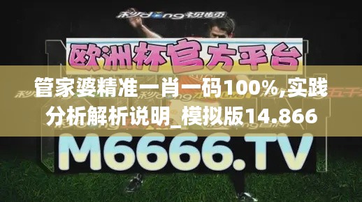 管家婆精准一肖一码100%,实践分析解析说明_模拟版14.866