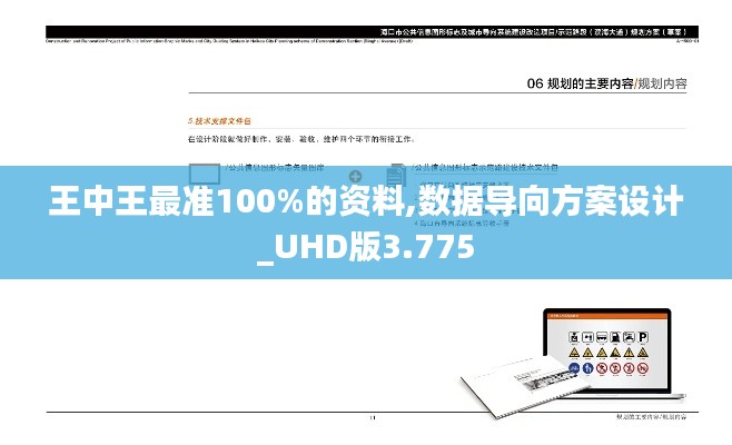 王中王最准100%的资料,数据导向方案设计_UHD版3.775