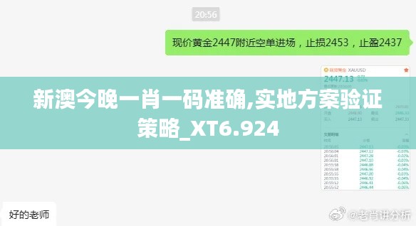 新澳今晚一肖一码准确,实地方案验证策略_XT6.924