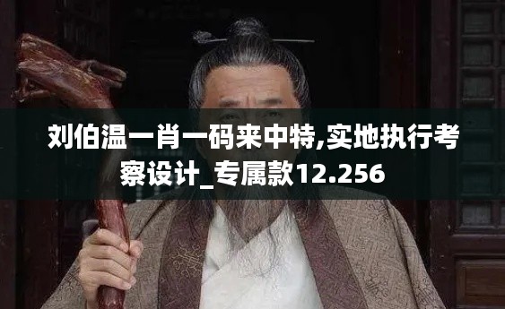 刘伯温一肖一码来中特,实地执行考察设计_专属款12.256