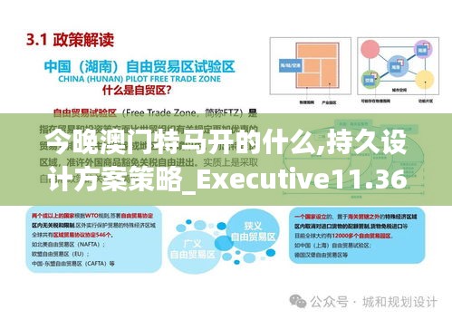 今晚澳门特马开的什么,持久设计方案策略_Executive11.360