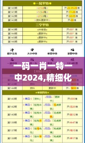 一码一肖一特一中2024,精细化说明解析_战斗版9.162