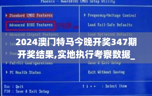 2024澳门特马今晚开奖347期开奖结果,实地执行考察数据_专属款17.793