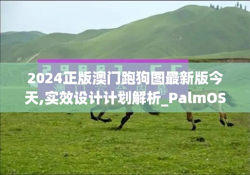 2024正版澳门跑狗图最新版今天,实效设计计划解析_PalmOS6.669