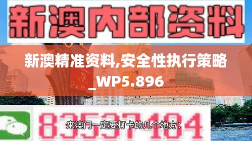 新澳精准资料,安全性执行策略_WP5.896