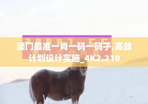 澳门最准一肖一码一码孑,高效计划设计实施_4K2.210