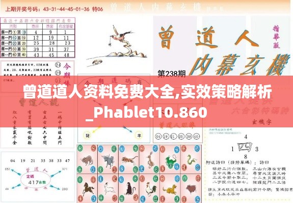 曾道道人资料免费大全,实效策略解析_Phablet10.860