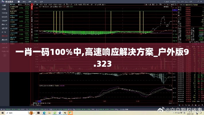 一肖一码100%中,高速响应解决方案_户外版9.323