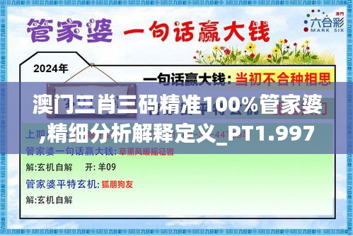 澳门三肖三码精准100%管家婆,精细分析解释定义_PT1.997