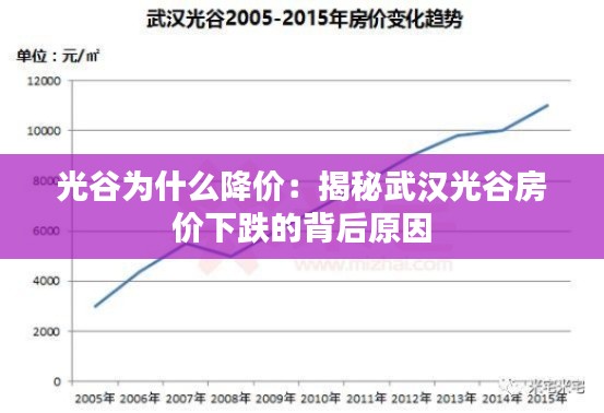 光谷为什么降价：揭秘武汉光谷房价下跌的背后原因