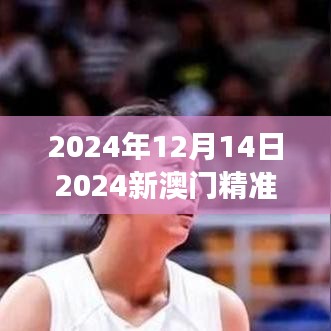 2024年12月14日2024新澳门精准免费大全：澳门的体育赛事与活动预览