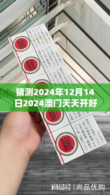 猜测2024年12月14日2024澳门天天开好彩大全开奖结果：数字命理的智慧