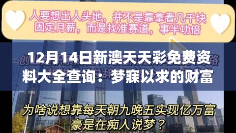 12月14日新澳天天彩免费资料大全查询：梦寐以求的财富钥匙