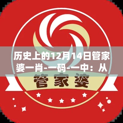 历史上的12月14日管家婆一肖-一码-一中：从历史事件中汲取的生活智慧