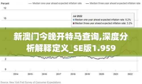 新澳门今晚开特马查询,深度分析解释定义_SE版1.959